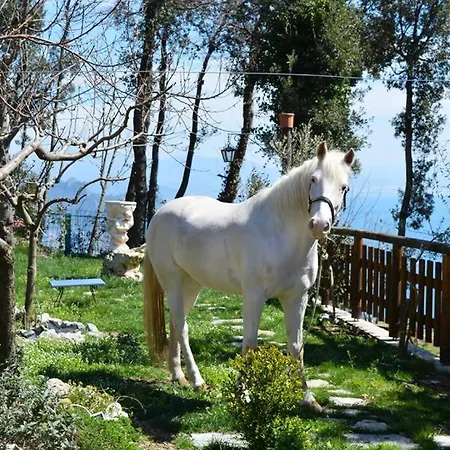 Miramare Agerola