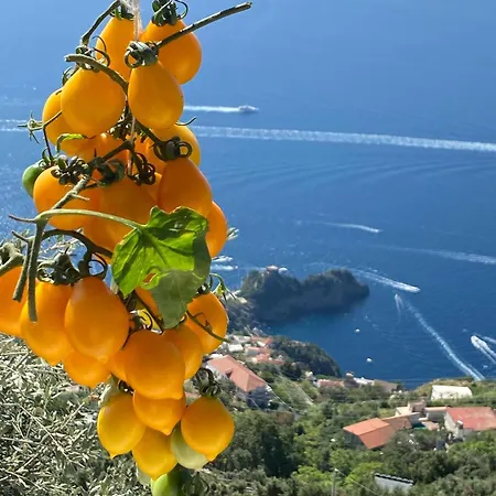 Miramare Çiftlik konaklama Agerola